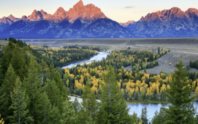 Eyes on Powell: The Jackson Hole Economic Symposium