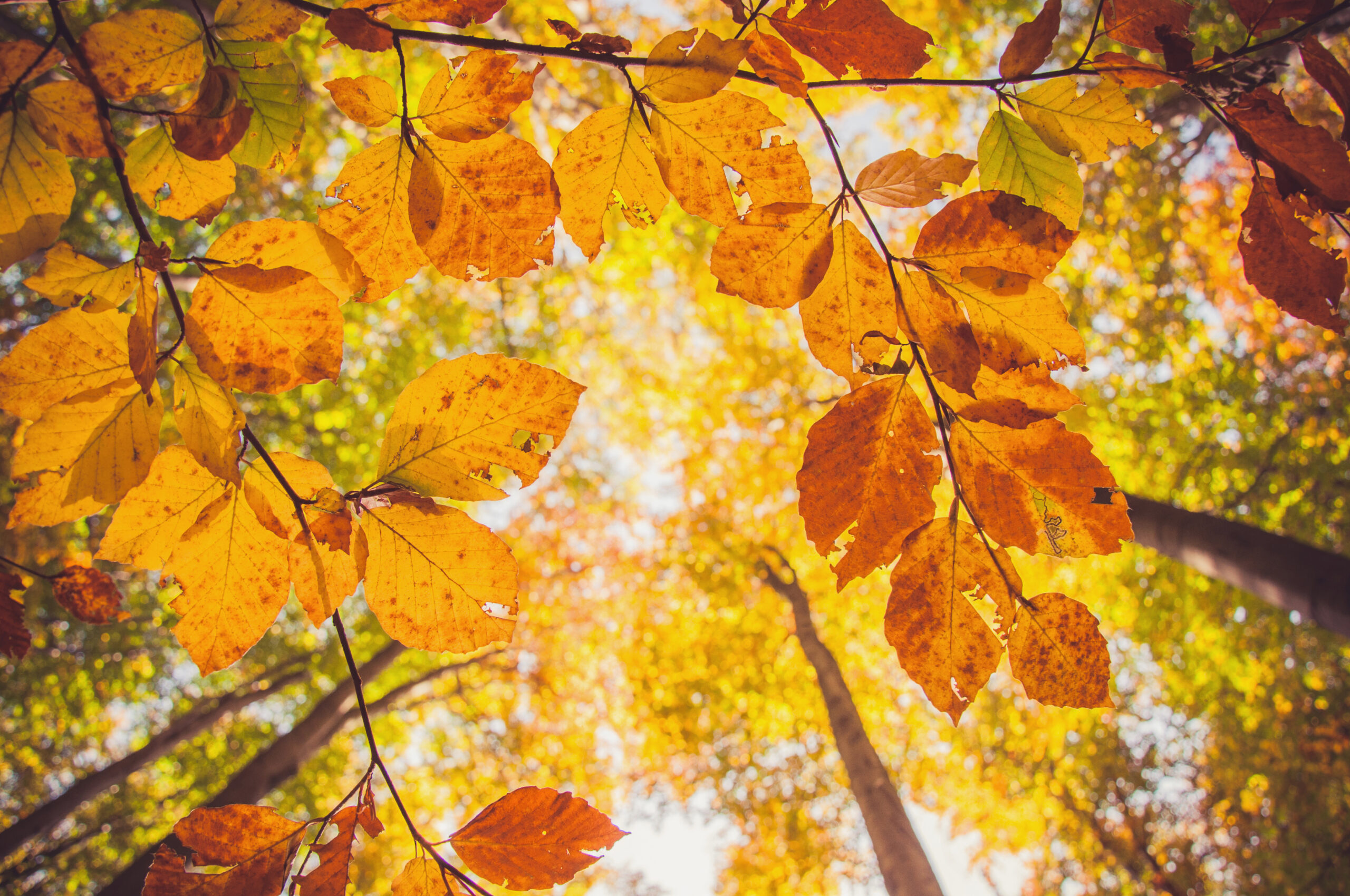 September 2026 Investment Summary