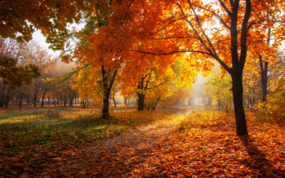 October 2026 Investment Summary