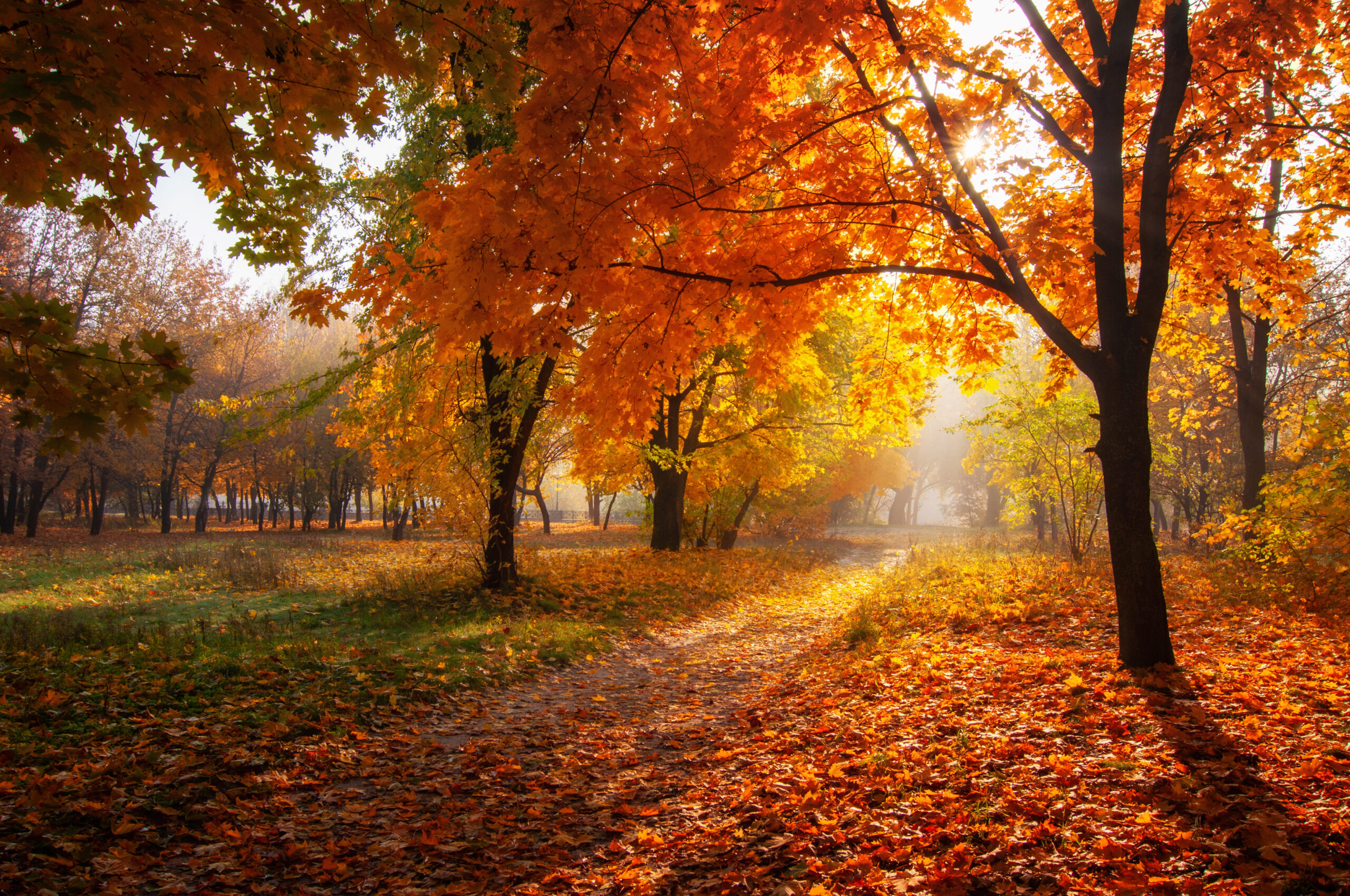 October 2026 Investment Summary